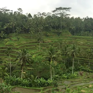 Homestay Pangkung House Indonesia